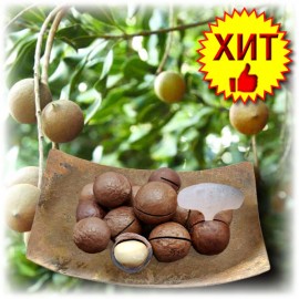 Орех Макадамия (Macadamia) в скорлупе
